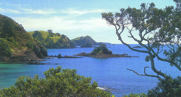Photo Of The Bay Of Islands